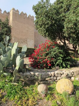 Alcazaba Moorish gardens Alcazaba Moorish gardens