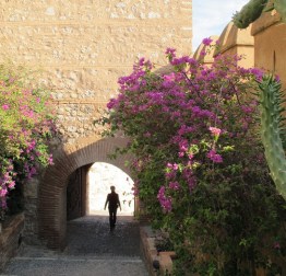 Main gate, Alcazaba Main gate, Alcazaba