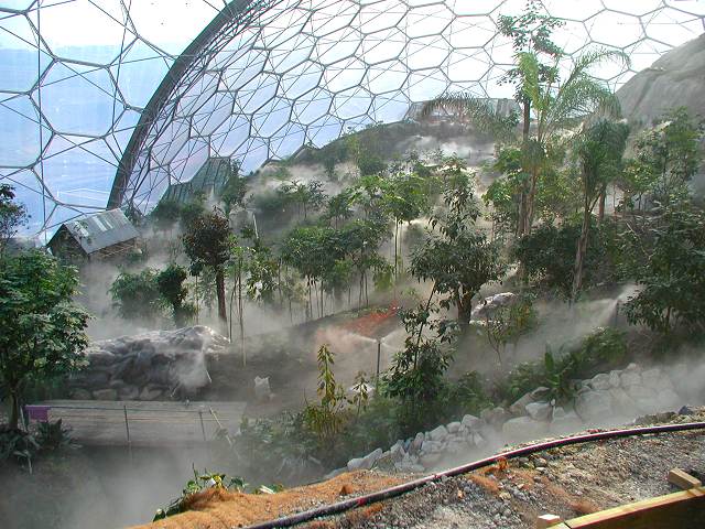 View inside the Rain Forest Biome