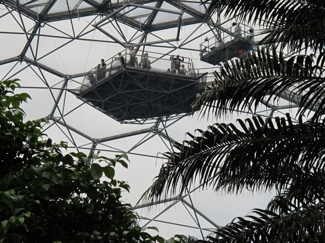 Lookout in the roof of the Rain Forest Biome 