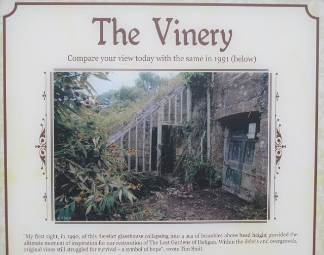 The Vinery in 1991