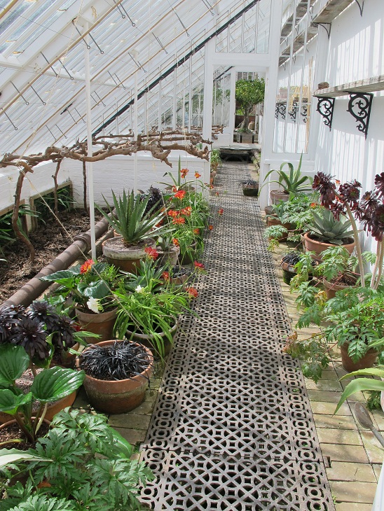 Inside The Vinery