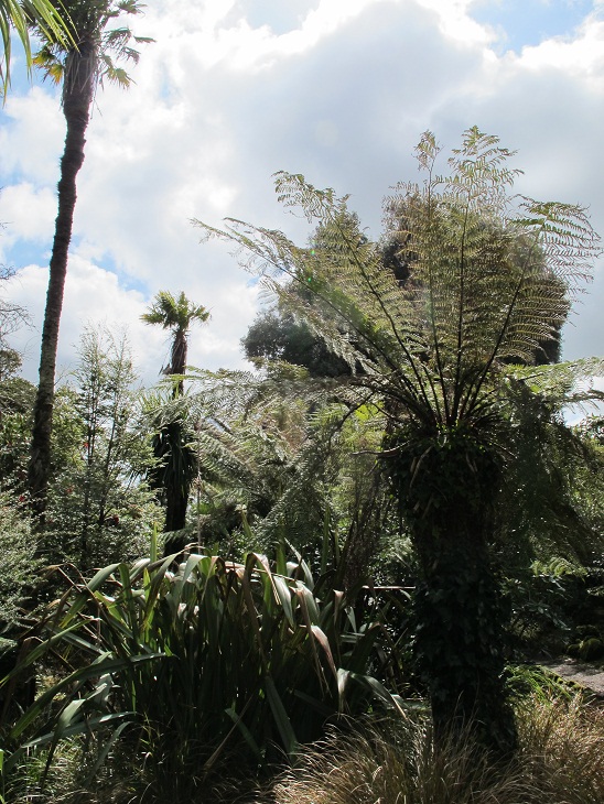 The New Zealand Garden