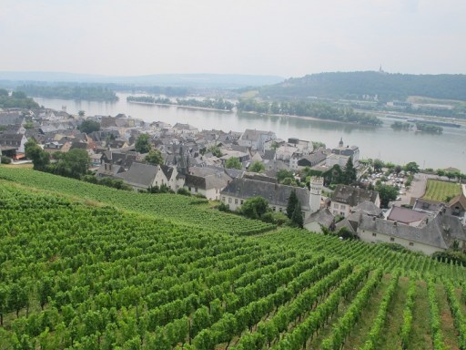 Rüdesheim5