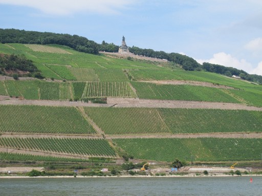 Rüdesheim8